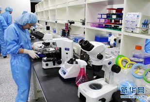 探訪(fǎng)韓國(guó)克隆工廠(chǎng) 走進(jìn)秀巖生命工學(xué)研究所的科技與倫理邊界