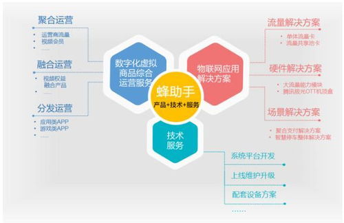 蜂助手沖刺上市 上半年收入達(dá)2.11億元，物聯(lián)網(wǎng)技術(shù)服務(wù)驅(qū)動(dòng)增長